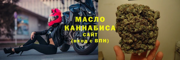 стаф Гусь-Хрустальный