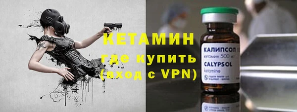 сатива Гусев