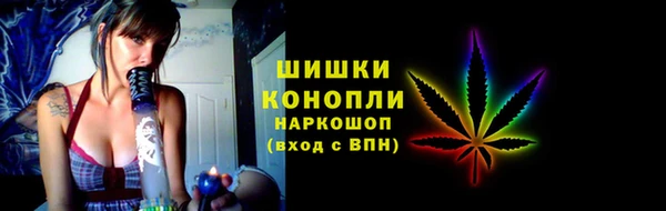 стаф Гусь-Хрустальный