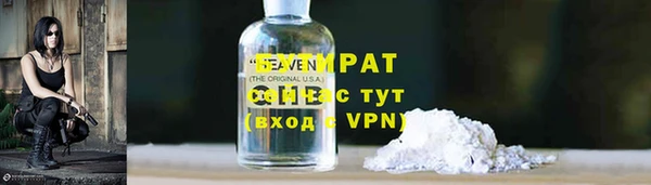 стаф Гусь-Хрустальный