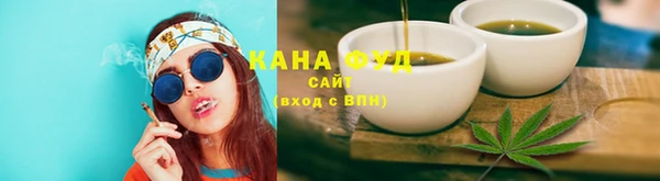 стаф Гусь-Хрустальный
