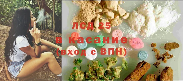 сатива Гусев