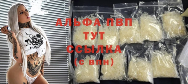 сатива Гусев