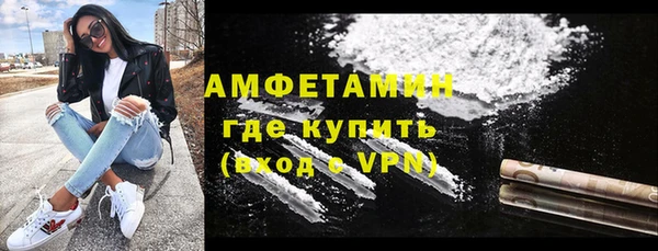стаф Гусь-Хрустальный