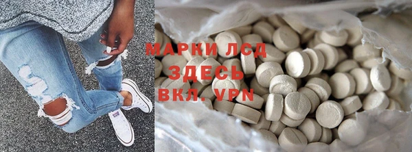 сатива Гусев