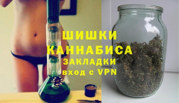 стаф Гусь-Хрустальный