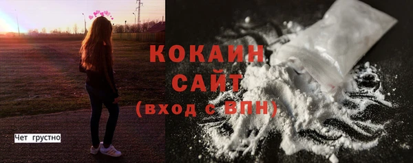 стаф Гусь-Хрустальный