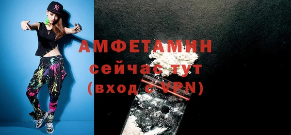 стаф Гусь-Хрустальный